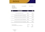 design professional invoice template